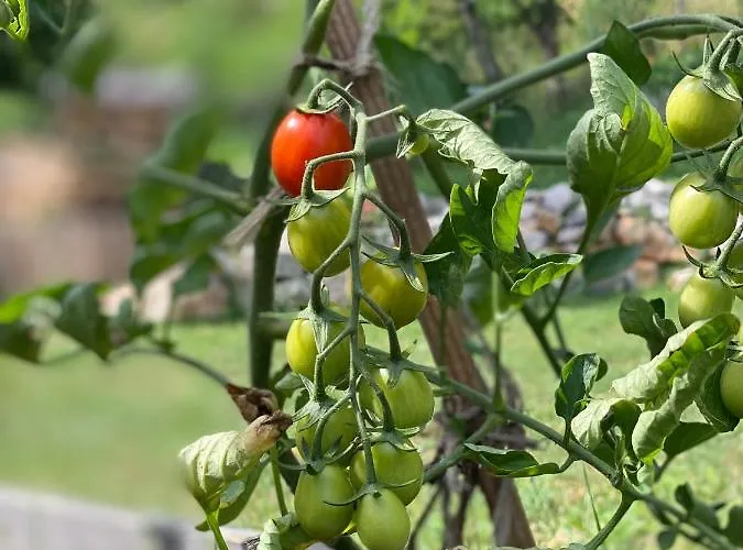 Célézen Pensión Espagnac-Sainte-Eulalie