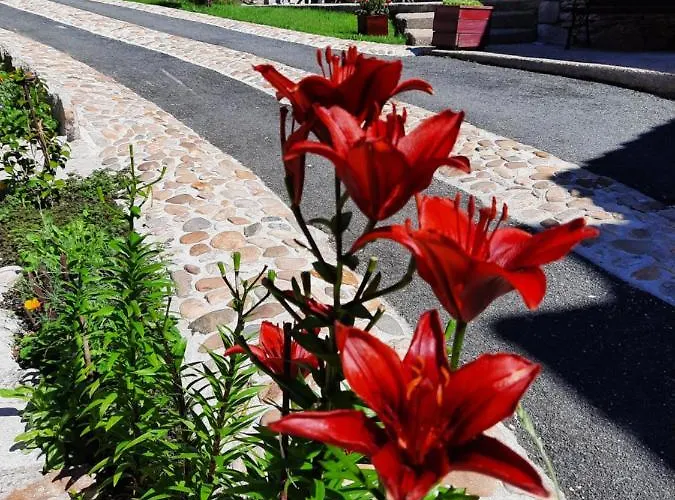 Célézen Pensión Espagnac-Sainte-Eulalie