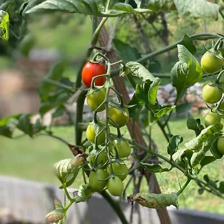 Celezen Guest house Espagnac-Sainte-Eulalie