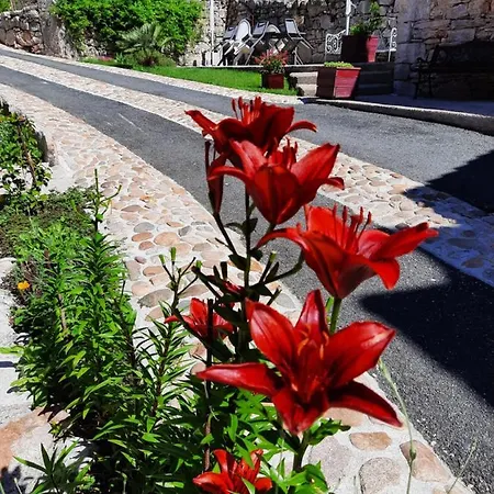 Celezen Guest house Espagnac-Sainte-Eulalie